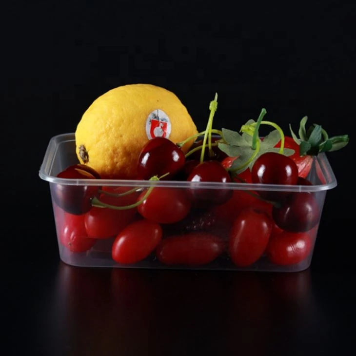 Disposable Food Container Injection Mold