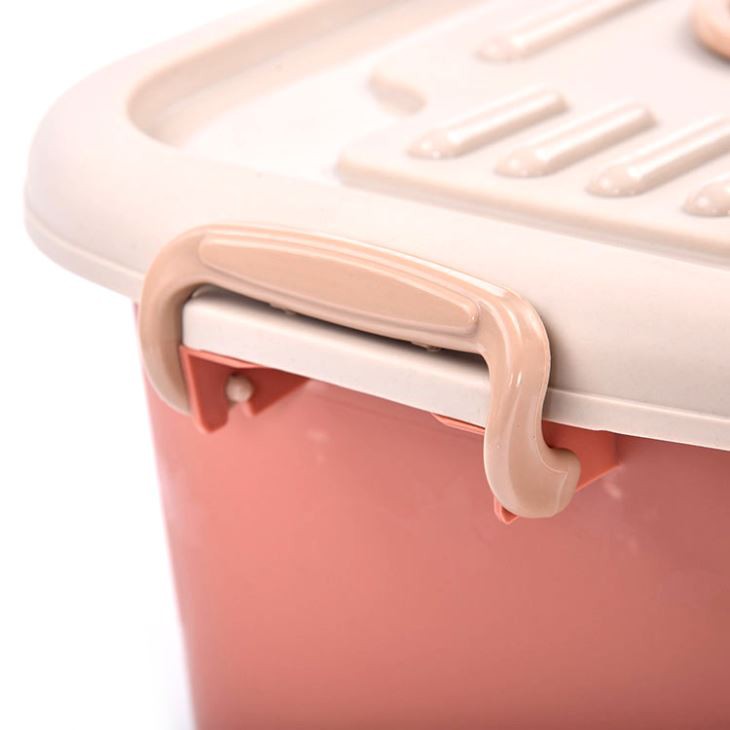 Food Container, Goods Storage Mold